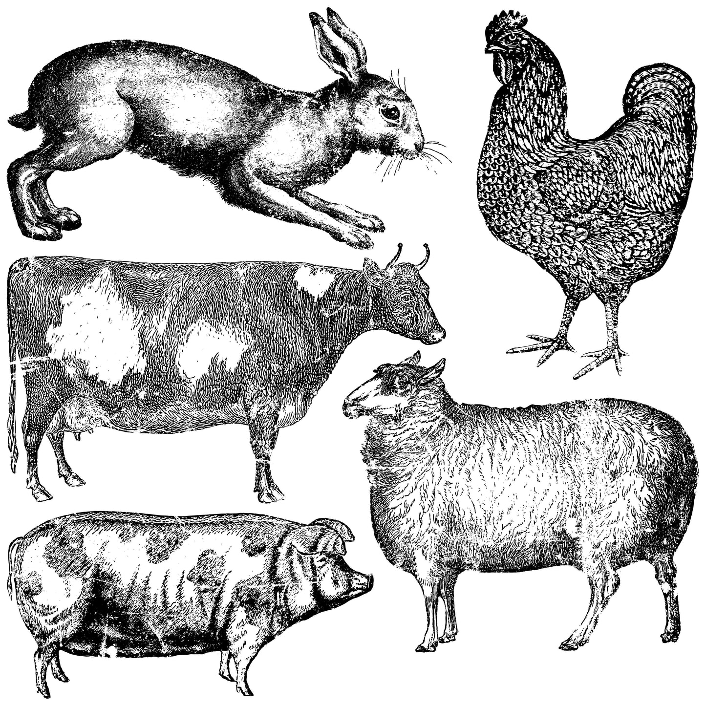 IOD Farm Animals Stamp