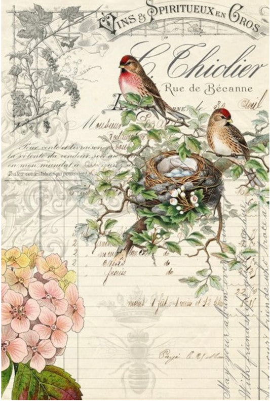 Roycycled Bird Ephemera