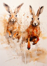 Andy Skinner Hare Spray