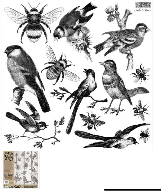 Birds & Bees